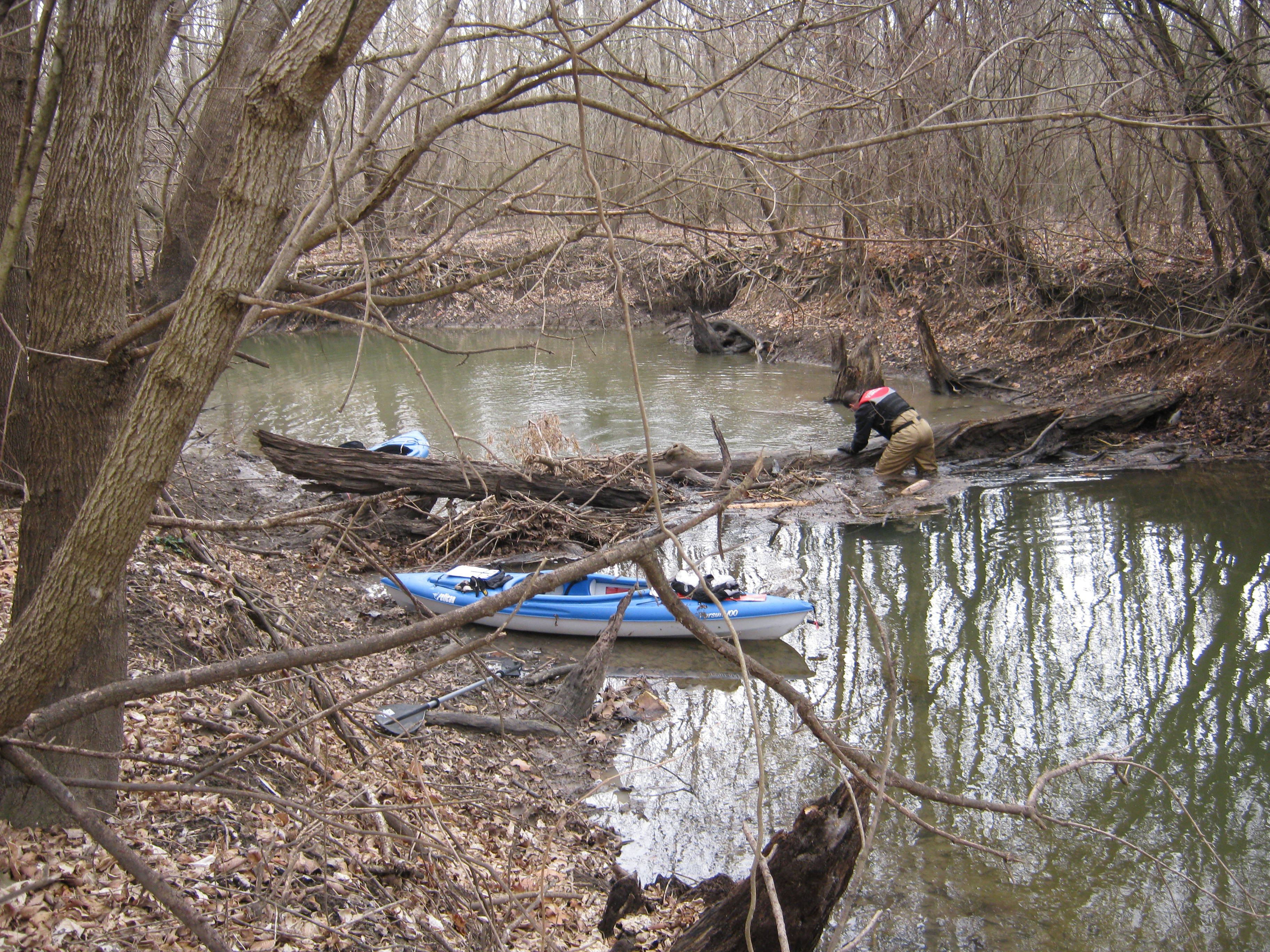 Scientist in knee deep water in front of a log fallen across the stream; canoe in the foreground
