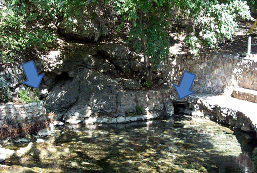Two of the main springs for Comal Springs